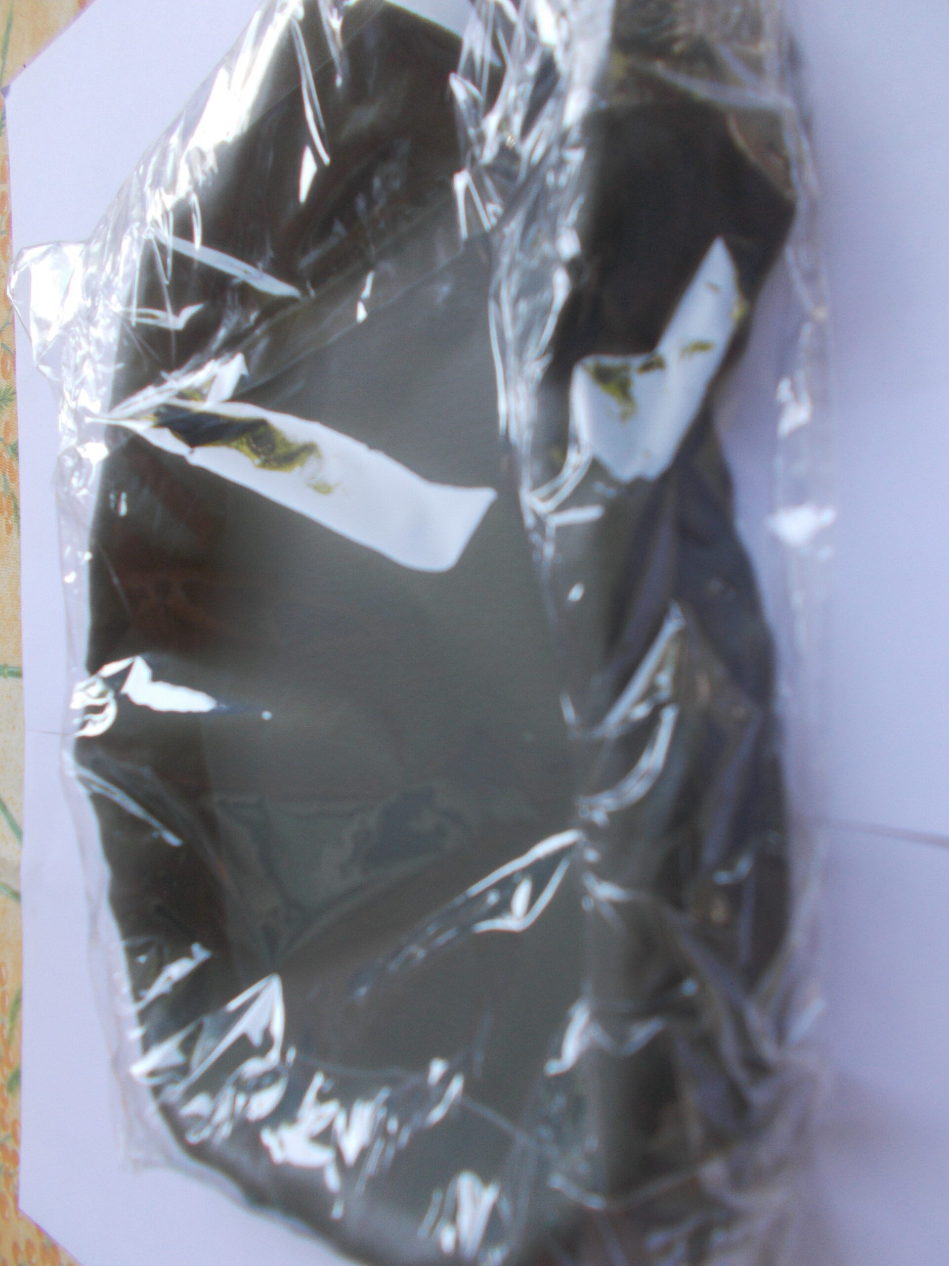 Abreuvoir reptiles gris LARGE – Image 5