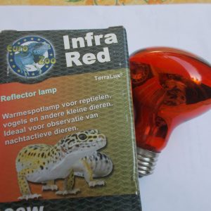 Ampoule infrarouge  chauffante 100 Watts 1