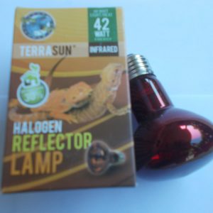 Ampoule infrarouge chauffante 60 Watts 1