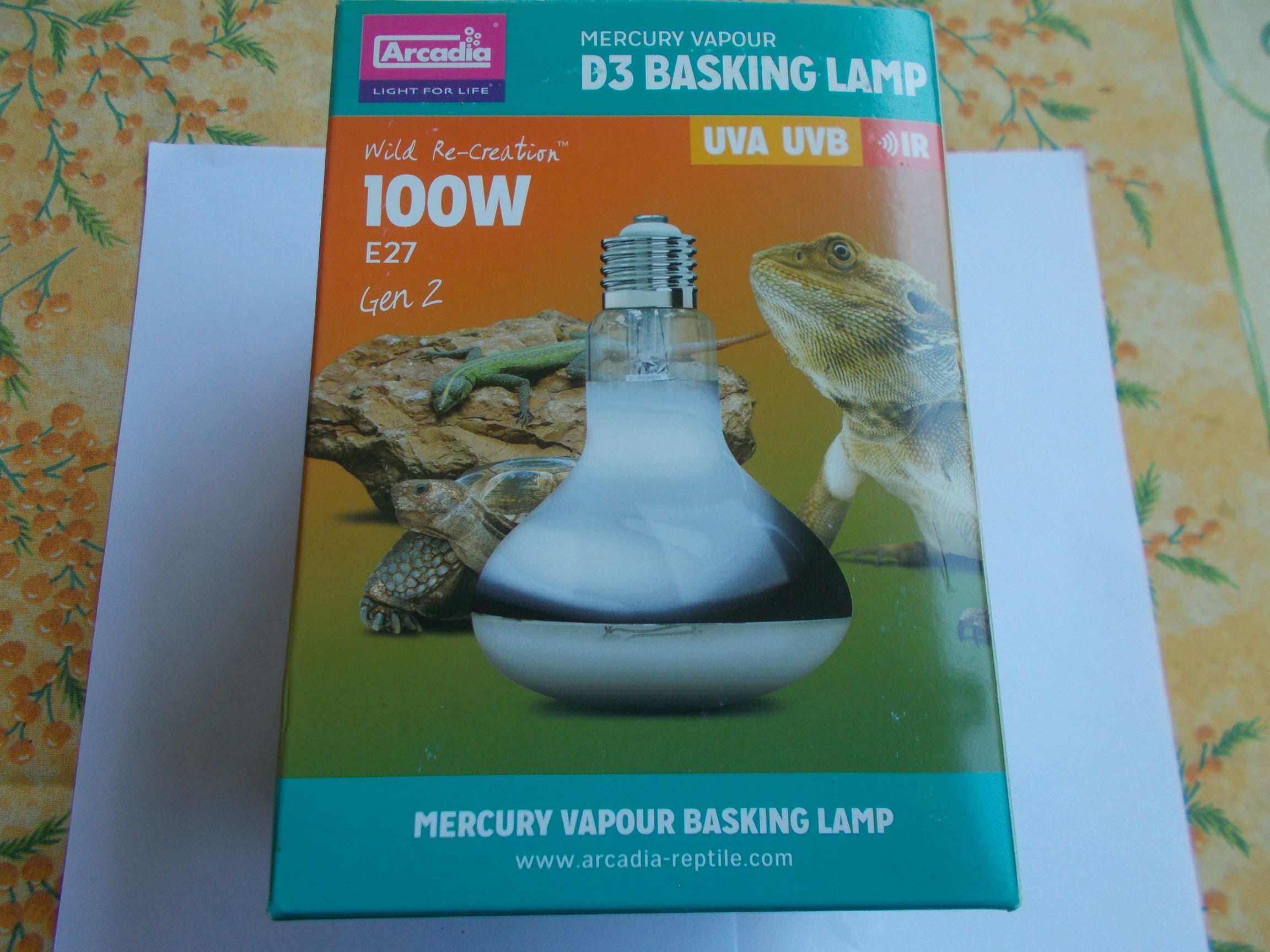 Ampoule vapeur de mercure 100 Watts 1