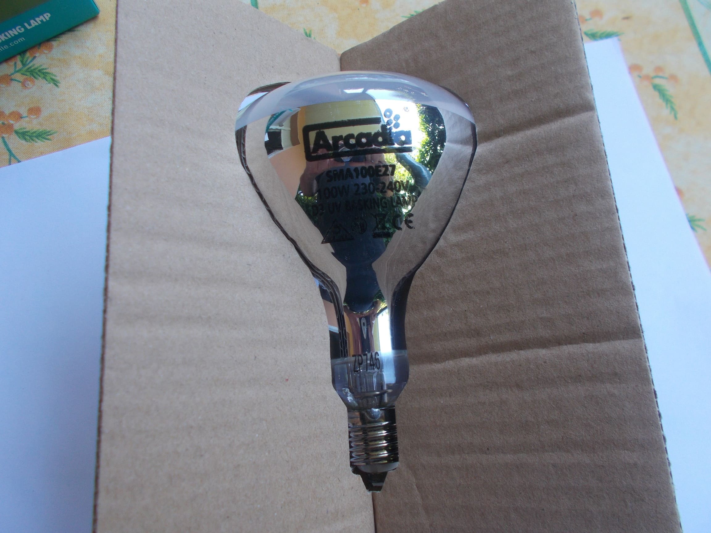 Ampoule vapeur de mercure 100 Watts 5