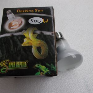 Basking Sun 50 Watts 1