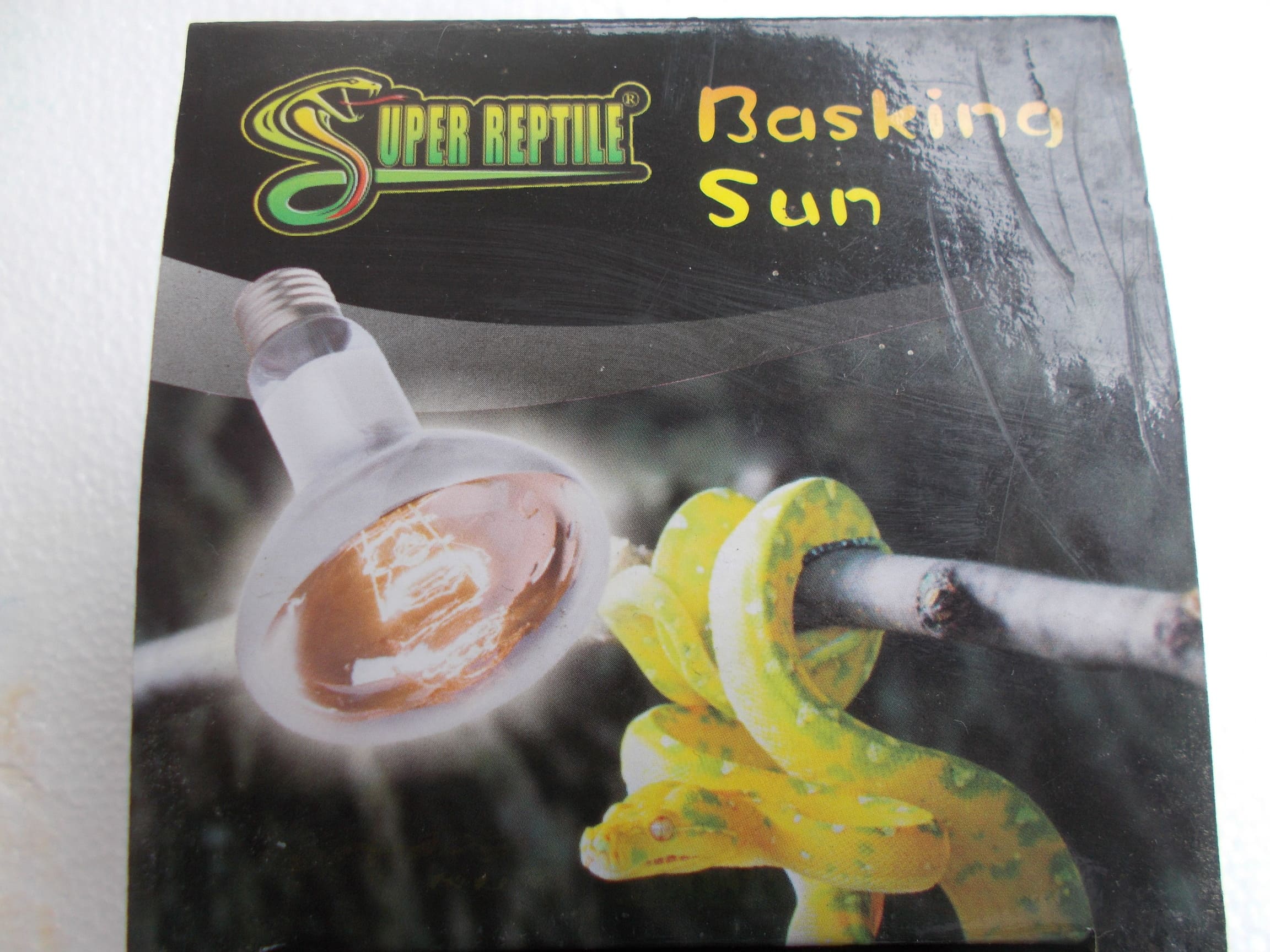 Basking Sun 50 Watts 4
