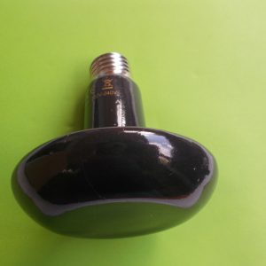 Lampe céramique chauffante 100 Watts 1