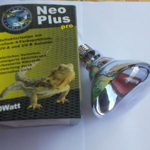 Lampe UVA-UVB chauffante 150 Watts 1